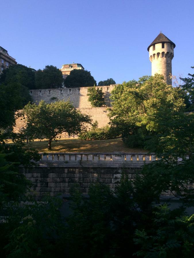Luxury Apartment View On To The Castle Βουδαπέστη Εξωτερικό φωτογραφία